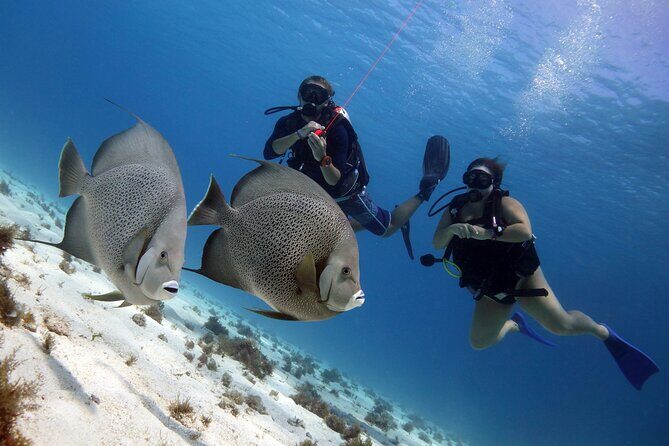 PADI Open Water Diver Course - The Booking Process and Practicalities