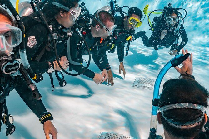 Padi Open Water Diver Course - The Itinerary: From Theory to Open Water