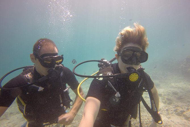 Padi Open Water Diver Course - The Benefits of Choosing This Course
