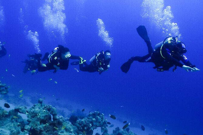 PADI Open Water Diver Course - 5 Days Scuba Diving - The Sum Up: Why This Course Stands Out