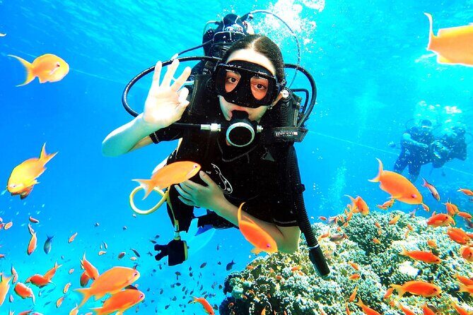 PADI Open Water Diver Course - Why Choose the PADI Open Water Diver Course in Sharm el Sheikh?
