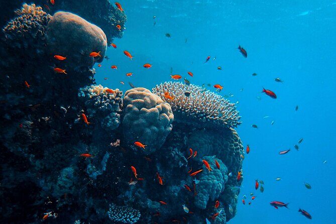 PADI Open Water Diver Course | For beginners - The Value of the Experience