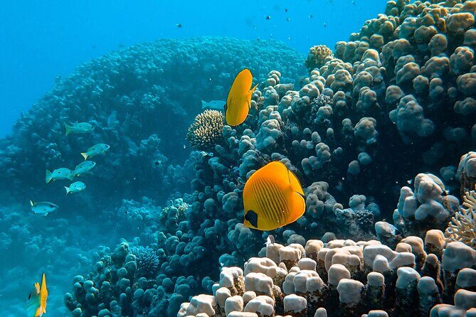 PADI Open Water Diver Course | For beginners - The Benefits of Small Groups and Personal Attention