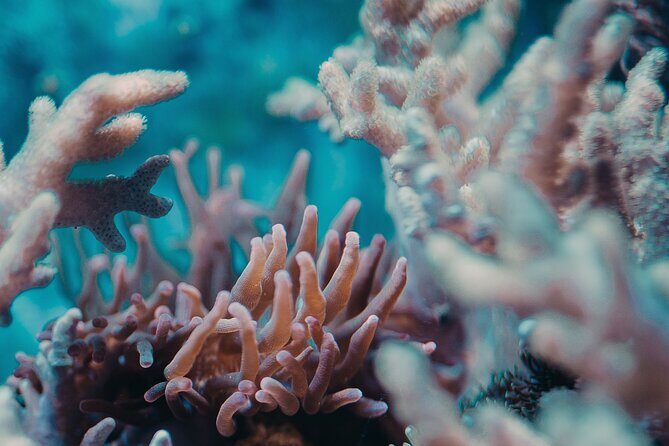 PADI Open Water Diver Course | For beginners - The Food, Views, and Overall Atmosphere