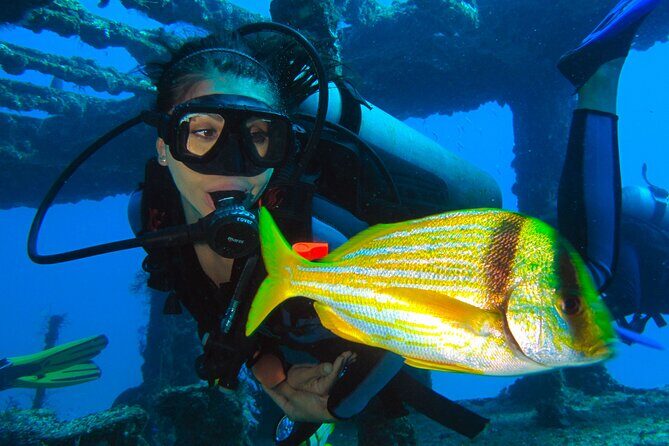 PADI Open Water Diving Certification Course Activity - The Complete Experience: What to Expect