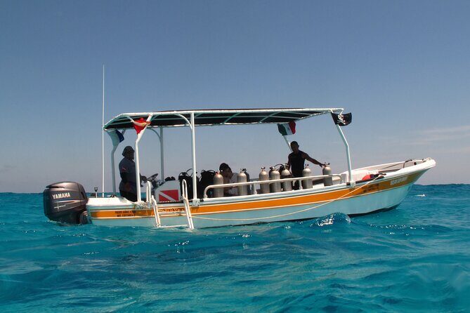 PADI Open Water Diving Certification Course Activity - The Sum Up