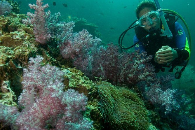 PADI Scuba Diver Course - Introduction to the Program
