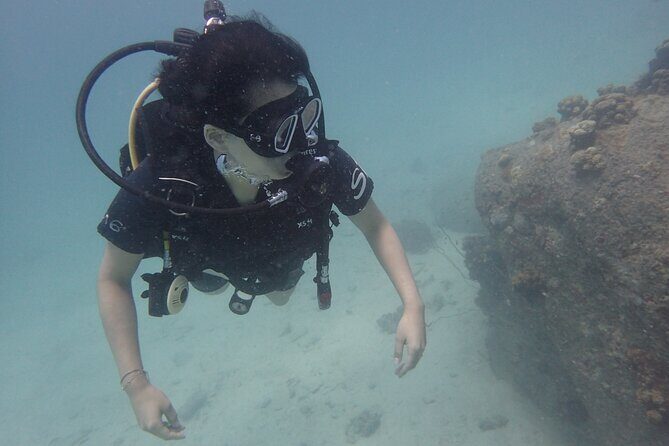 PADI Scuba Diver course for beginners Two days one night accommodation included - The Sum Up: Is This a Good Choice?