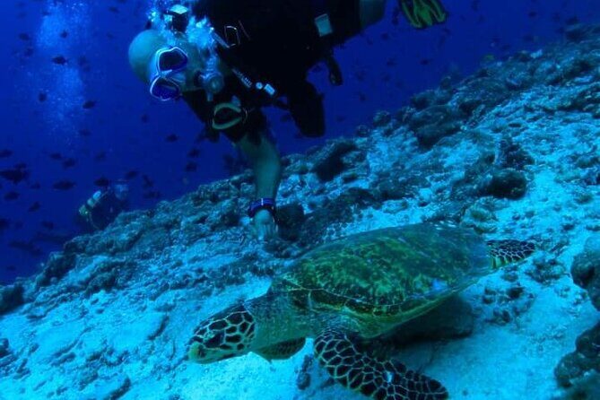 PADI Scuba Lesson and Shore Dive in Maui - Exploring Maui’s Underwater World