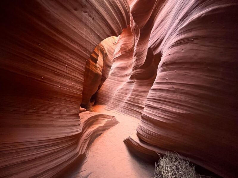 Page: Traditional Navajo Hogan Stay & Antelope Canyon Tour - Final Thoughts: Who Will Love This Tour?