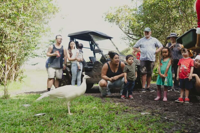 Pahoa: Ranch Tour with Animal Feedings and Interactions - An Overview of the Ranch Tour Experience