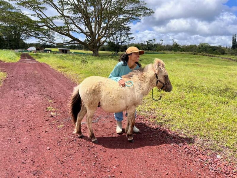 Pahoa: Ranch Tour with Animal Feedings and Interactions - What to Expect from the Itinerary