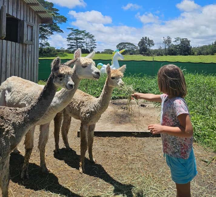Pahoa: Ranch Tour with Animal Feedings and Interactions - The Value and Practicalities
