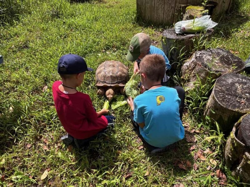 Pahoa: Ranch Tour with Animal Feedings and Interactions - Authenticity and Overall Experience