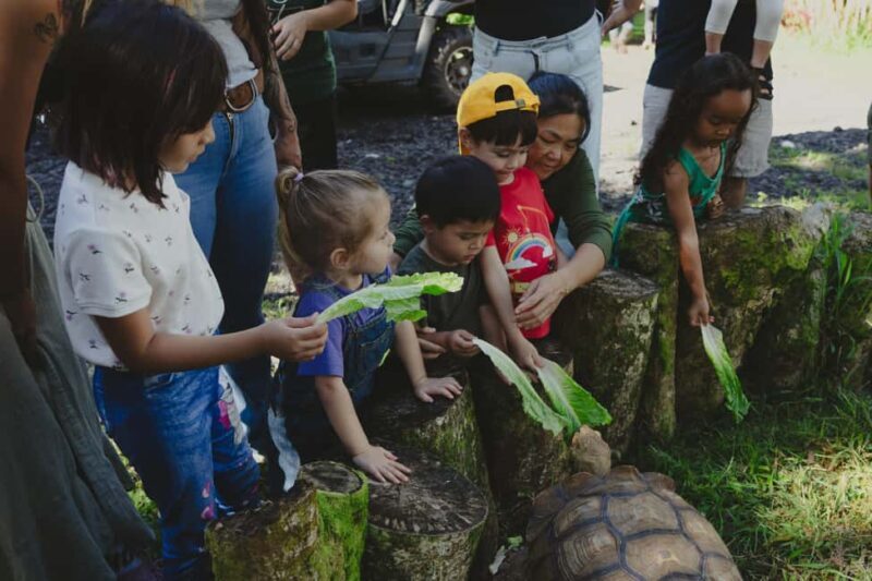 Pahoa: Ranch Tour with Animal Feedings and Interactions - Who Should Consider This Tour?