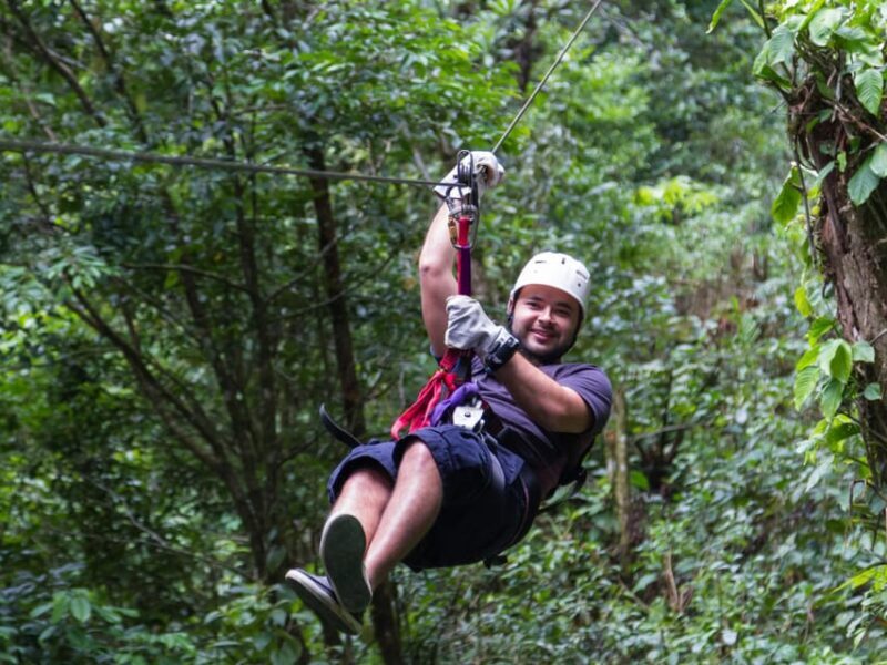 Pai: Ultimate Ziplining Adventure through the Jungle - Key Points