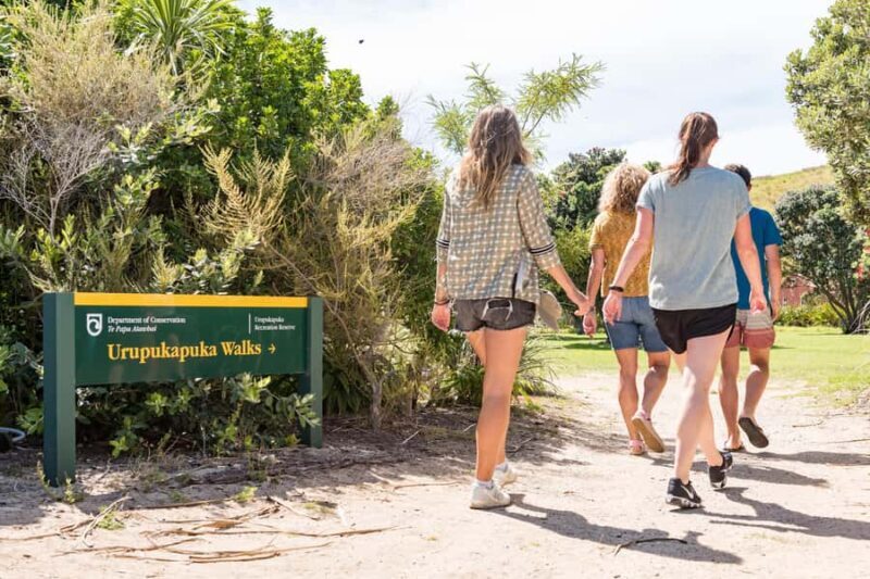 Paihia: Bay of Islands Dolphin Eco Cruise & Island Stopover - Who Will Love This Tour?