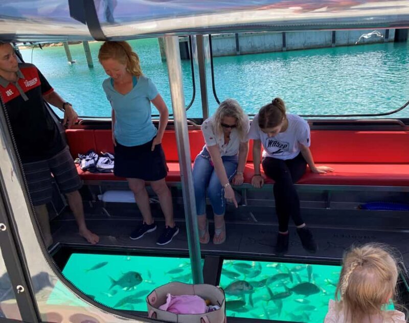 Paihia: Glass Bottom Boat Tour to the Hole in the Rock - An Authentic Water Adventure in the Bay of Islands