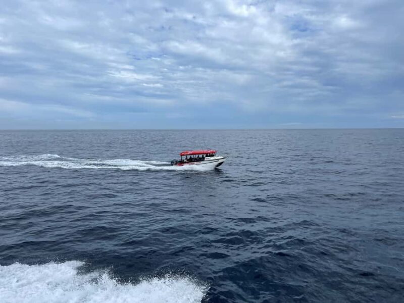 Paihia: Glass Bottom Boat Tour to the Hole in the Rock - Authentic Experiences and Guest Feedback