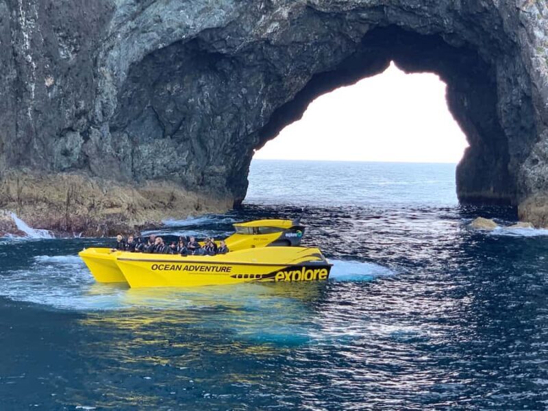 Paihia: Hole in the Rock Fast Boat Ocean Adventure - What to Expect from This 1.5-Hour Adventure