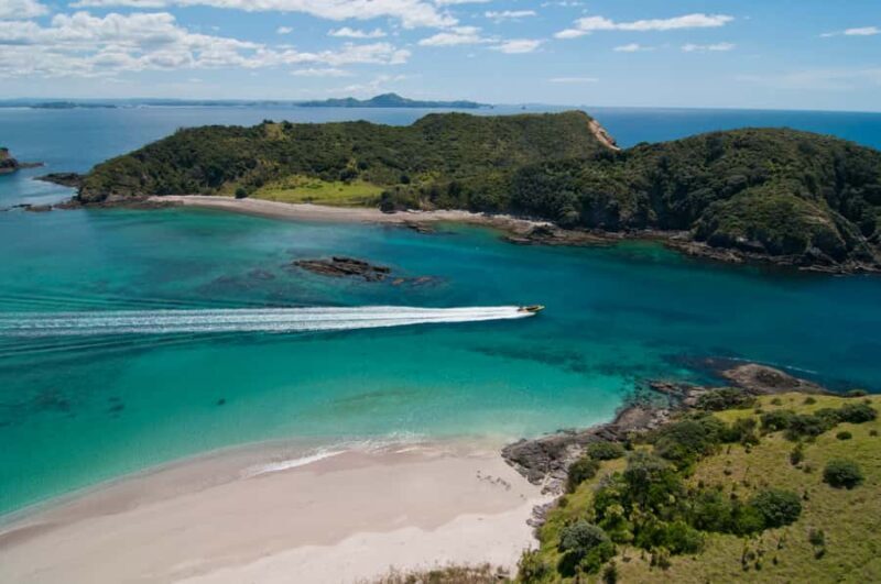 Paihia: Hole in the Rock Fast Boat Ocean Adventure - What the Reviews Say