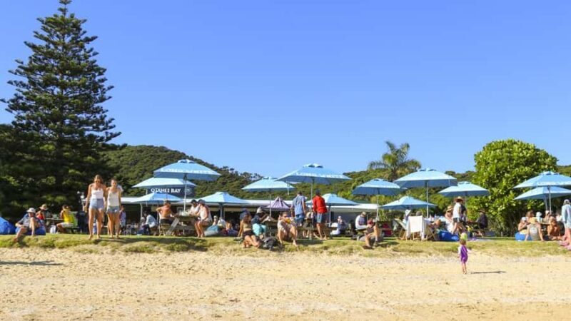 Paihia: Hole in the Rock Fast Boat with Island Stopover - Key Points