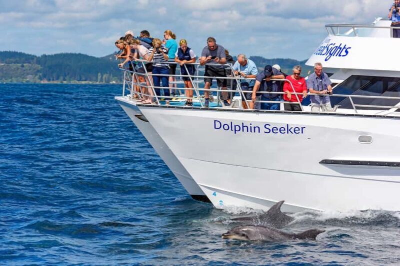 Paihia/Russell: Hole in the Rock, Dolphins & Island Cruise - The Itinerary – What to Expect and Why It Matters