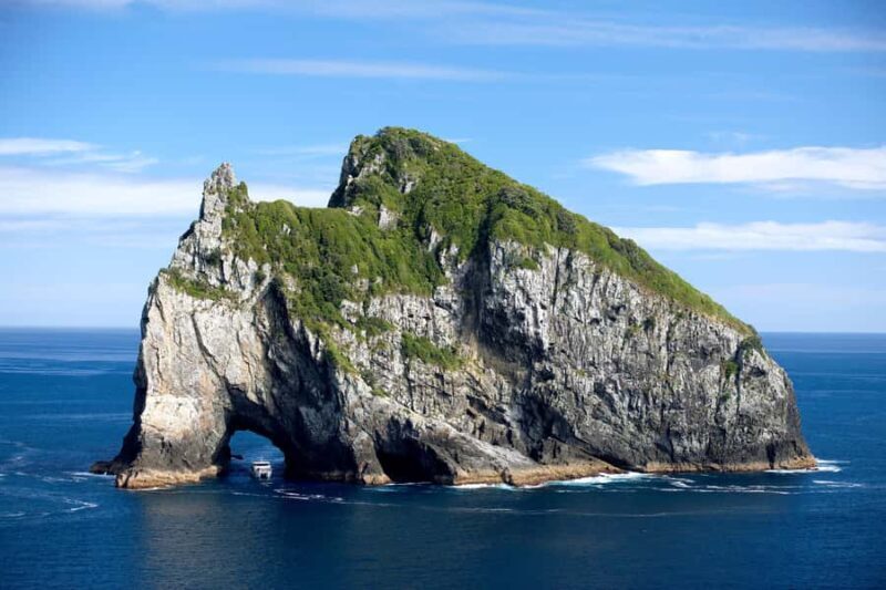 Paihia/Russell: Hole in the Rock, Dolphins & Island Cruise - The Experience in Detail – Authentic Encounters and Scenic Highlights