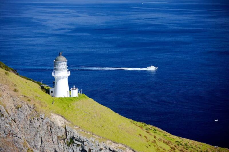 Paihia/Russell: Hole in the Rock, Dolphins & Island Cruise - Who Should Consider This Tour?