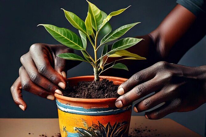 Paint and Plant: The Ultimate Plant Therapy Experience - Key Points