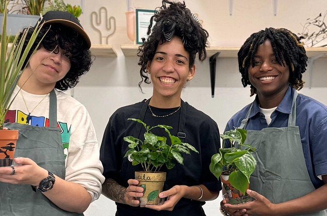 Paint and Plant: The Ultimate Plant Therapy Experience - Analyzing the Value