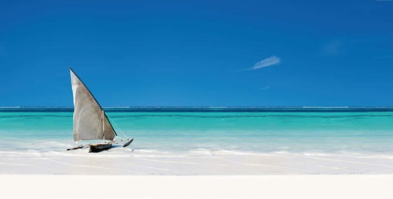 Paje Beach Tour, Lunch at The Rock, Mnemba Dolphin Tour - Key Points