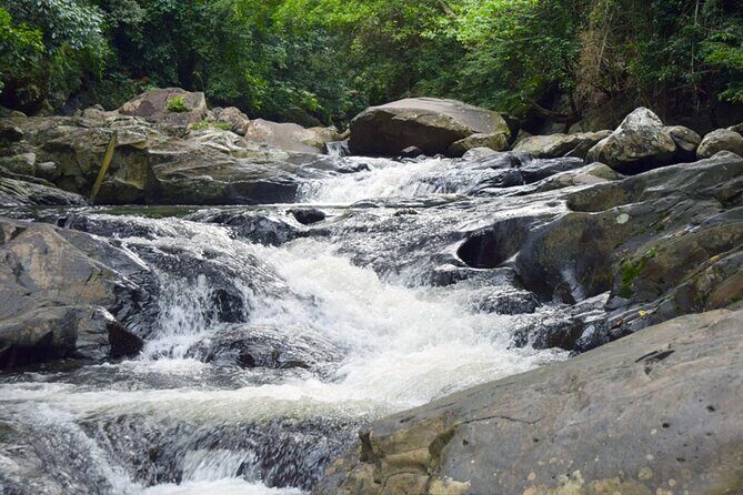 Pala U Waterfall in Kaeng Krachan Jungle with Private Guide from Hua Hin - Discovering the UNESCO-Listed Kaeng Krachan National Park