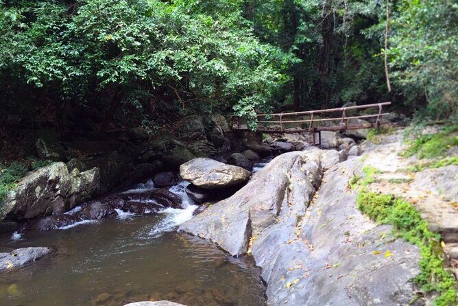 Pala U Waterfall in Kaeng Krachan Jungle with Private Guide from Hua Hin - The Journey to the Waterfall