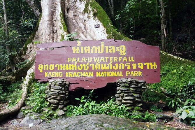 Pala U Waterfall in Kaeng Krachan Jungle with Private Guide from Hua Hin - Who Will Love This Tour?