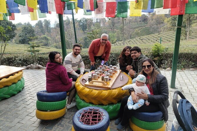 Palampur and Bir Tour, Tea Gardens, Adventures and Paragliding - A Detailed Look at the Tour Experience