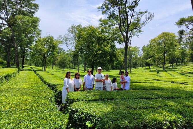 Palampur and Bir Tour, Tea Gardens, Adventures and Paragliding - FAQ