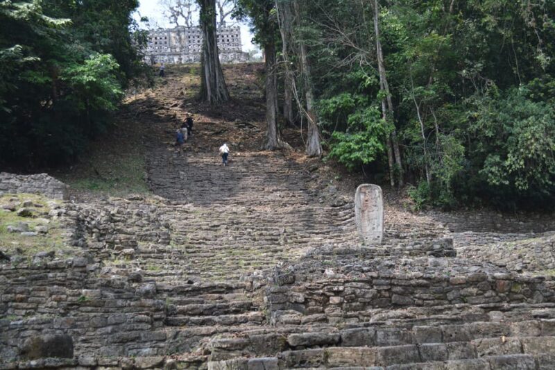 Palenque: 2-Day Lacandon Jungle, Yaxchilan, & Bonampak Trip - A Closer Look at the 2-Day Lacandon Jungle, Yaxchilan & Bonampak Trip