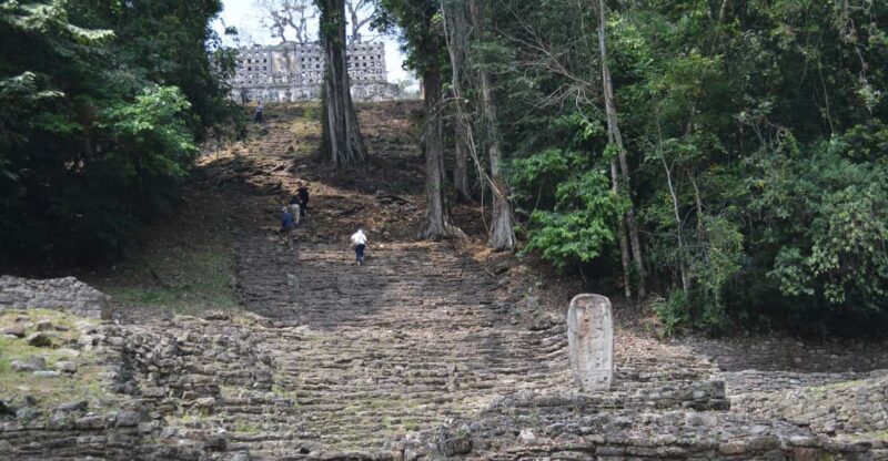 Palenque: 2-Day Lacandon Jungle, Yaxchilan, & Bonampak Trip - Who Is This Tour Best For?