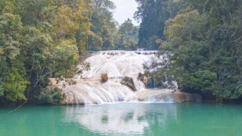 Palenque Archaeological Area and Roberto Barrios Waterfalls - Palenque Archaeological Area and Roberto Barrios Waterfalls: A Complete Review