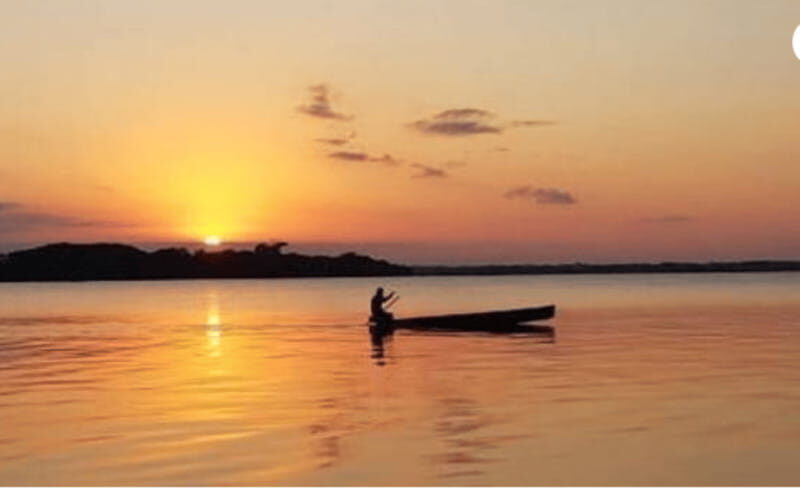 Palenque: Catazajá Lagoon Wildlife Adventure - Who Is This Tour Best For?