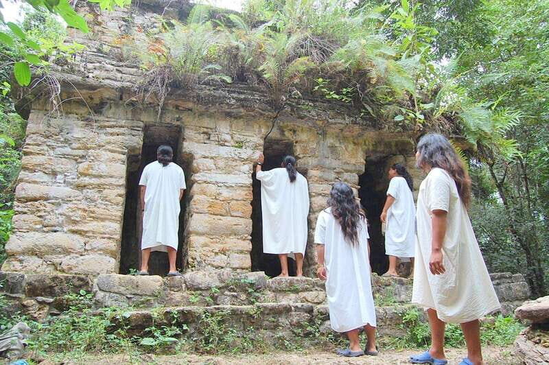 Palenque: Lacandona Jungle Path - Ecotourism Adventure - A Deep Dive into the Jungle Adventure