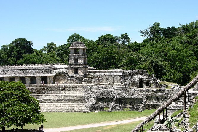 Palenque Maya ruins, guided tour from Palenque - Who Would Benefit Most from This Tour?