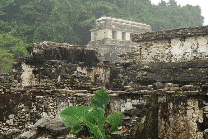Palenque Mayan Ruins, Misol-Ha and Agua Azul Waterfalls Full Day Tour from Palenque - Authentic Experiences and Recommendations