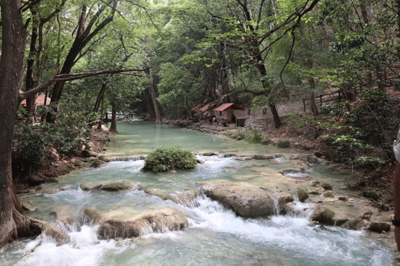 Palenque: Rafting and Jungle Trail Adventure - An Introduction to the Palenque Rafting and Jungle Adventure
