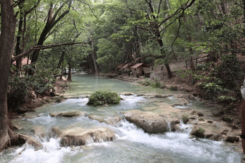 Palenque: Rafting and Jungle Trail Adventure - What Travelers Say: Pros and Cons