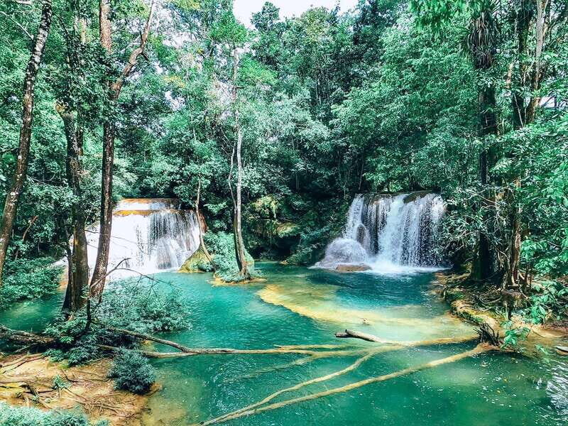 Palenque: Roberto Barrios Waterfall Tour - Introduction: Why Choose the Roberto Barrios Waterfall Tour?