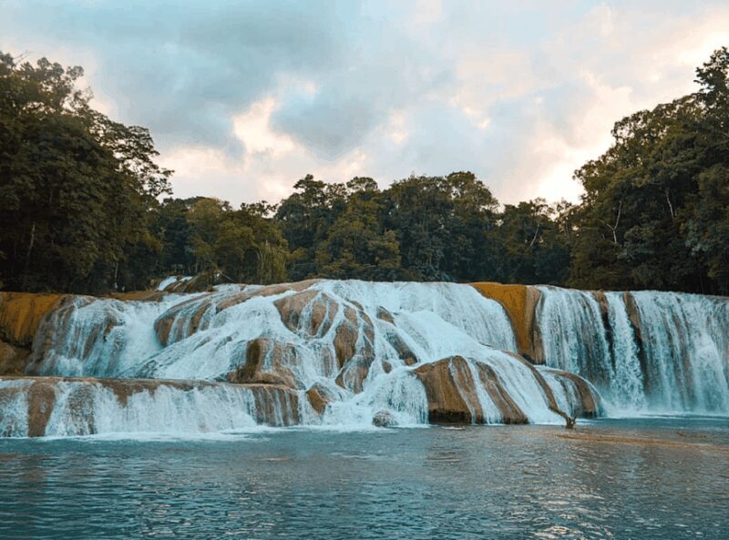 Palenque: Roberto Barrios Waterfall Tour - Practical Tips for Travelers