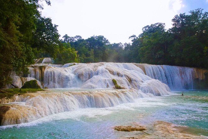 PALENQUE RUINS, AGUA AZUL and MISOL-HA (Private) - Potential Drawbacks and Considerations