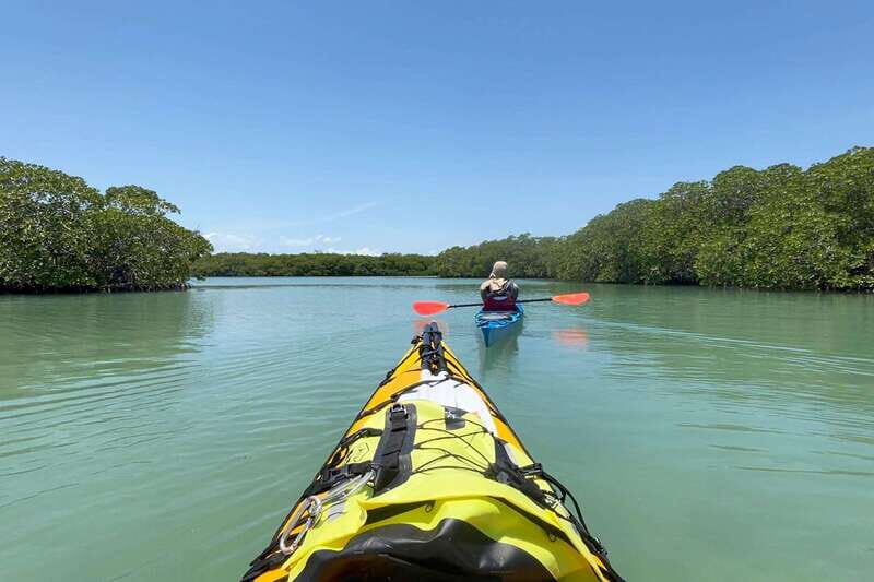 Palenque to San Cristobal. 5-day Jungle Tour + Rafting+Kayak - Authenticity and Value